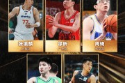 CBA国内球员二阵：徐昕、周琦、张镇麟、高诗岩、林庭谦