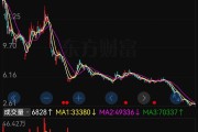 张家港一股民5.8元抄底*ST岩石，躺平2个月如今只剩下2.61元